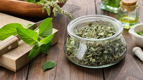 تصویر 2 از نعنا خشک باغی با برگ های خوش عطر و طعم طبیعی